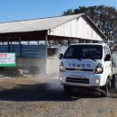 포항축산업협동조합 이미지