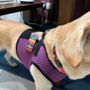 AH 소프트 이미지