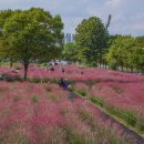 미사경정공원 이미지