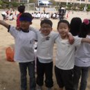 물금초등학교 Daum카페