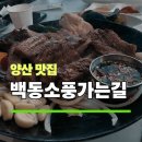 소풍길 | 양산 맛집 백동소풍가는길 양산점 솔직후기