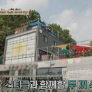 반값애견 이미지