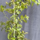 용선농장 이미지