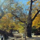 산문주차장화장실 이미지