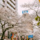 청구행정사사무소 이미지