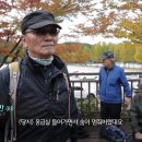 베어리핏 이미지