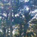 성이농장 이미지