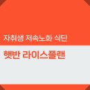 자취생 정희원교수 저속노화 식단 레시피 햇반 라이스플랜 실제후기