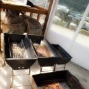 솔향기은빛바다펜션 | 즐거웠던 통영여행~ 숙박은 통영팬션추천 솔향기은빛바다펜션 (통영펜선싼곳)