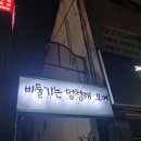영남대 감성카페 &lt;비둘기는 멍청해 보여&gt; : 카공, 과제 맛집, 고양이 상주, 힙한 MZ 카페