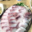 푸른바다횟집 티스토리