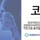 코앤365이비인후과의원 이미지