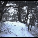 [3월10일]보련산764m충북충주☆사계절 질 좋은 풍광♬탄산온천욕 이미지