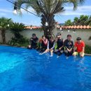 오션트리 이미지