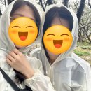 지니투어 네이버블로그