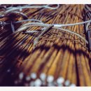 성혜약국 이미지