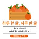 남산어린이공원 | [귤(꿀)맛집 후기] 이태원 경리단길 이태원어린이공원 방문 후기