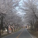 용문정 앞 이미지