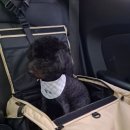 꾸꾸멈머 네이버블로그