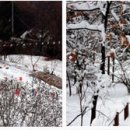 창촌주유소 이미지