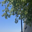 아이디어스솔루션 | 아이디어스 별작가프로젝트후기🍀