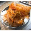 토종닭농장 이미지