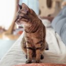 (주)이레본 이미지