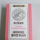 알파씨드 이미지