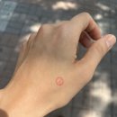 목5동 주민센터 이미지