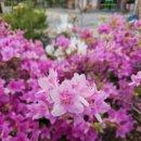 횡성군갑천보건지소 이미지