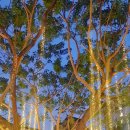 인성 정신건강의학과의원 이미지