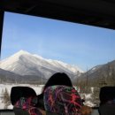 행운전자 이미지