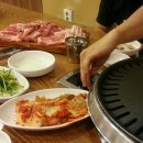 돼지한마리 이미지