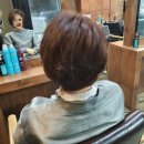 파컷헤어 - 안산시 단원구 | 파컷헤어
