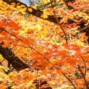 누룽지야영장 이미지