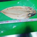 모여라포차 이미지