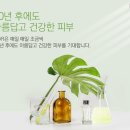 엔디알