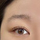 세니떼뷰티샵홍성점 | [홍성 속눈썹] 릴리뷰티에서 웨딩촬영 대비 클래식 연장 자연스러운 다크브라운 C컬후기 | 릴리뷰티