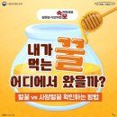 도안대한민국공인중개사사무소 이미지