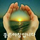 숲속에서 이미지