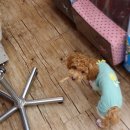 폴리파크지산점 이미지