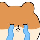 알엔시스템 이미지