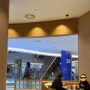 도니버거 | 잠실 롯데월드몰 브루클린버거 솔직후기 | 2명 메뉴 꿀조합 추천 (웨이팅, 가격)