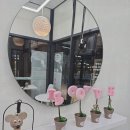 엘빈즈 아인병원점 네이버블로그