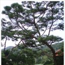 솔가의집