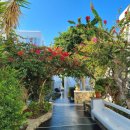 리틀미코노스8 이미지