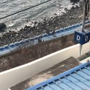 여울그루밍 이미지