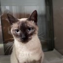 성주면 주민자치센터 이미지