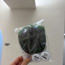 창원 상남동 브라질리언왁싱 ‘쎄쎄왁싱앤뷰티‘ 후기 (내돈내산 포함)