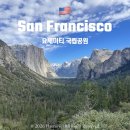 호텔욜로 | 요세미티 당일투어 욜로투어 코스 가격 솔직후기